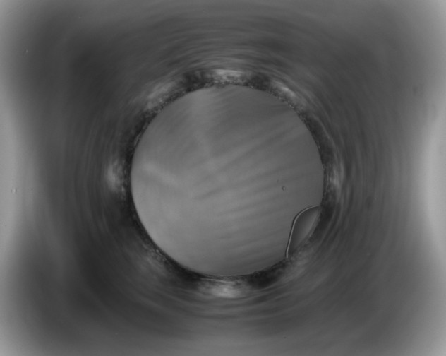 X0000086760663200704271731