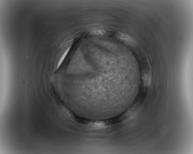 X0000086760665200704271731