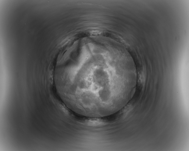 X0000086760666200704271731