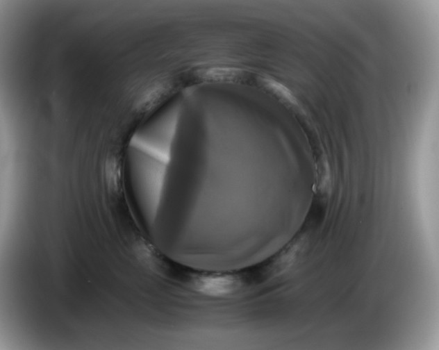 X0000086760669200704271731