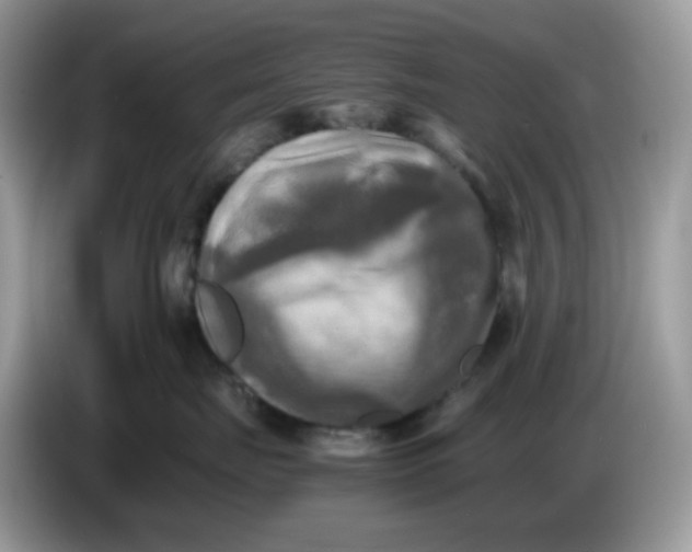 X0000086760671200704271731