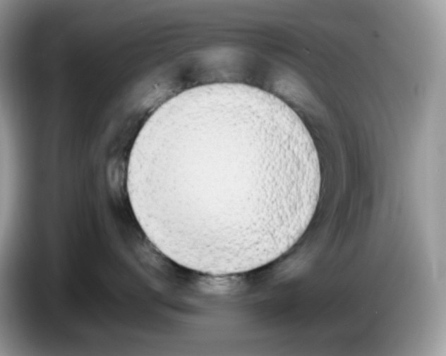 X0000086760672200704271731