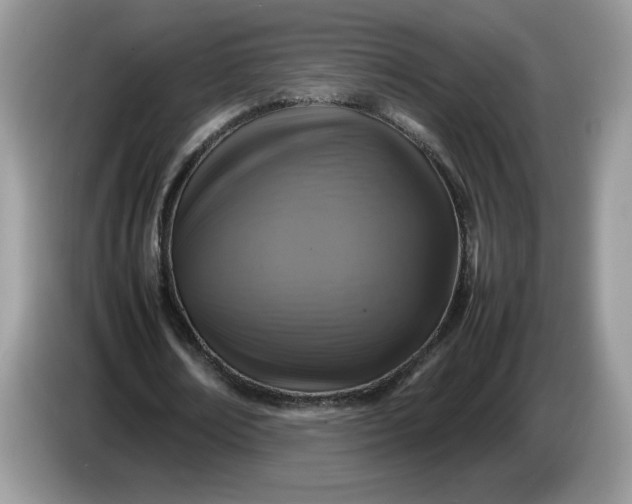 X0000086760674200704271731