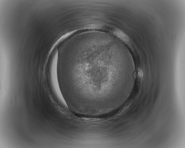 X0000086760676200704271731