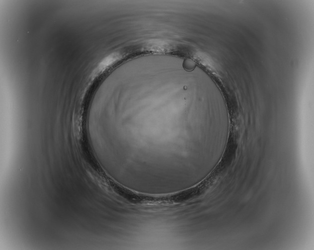 X0000086760679200704271731