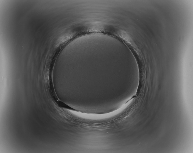 X0000086760681200704271731