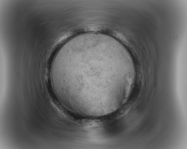 X0000086760683200704271730