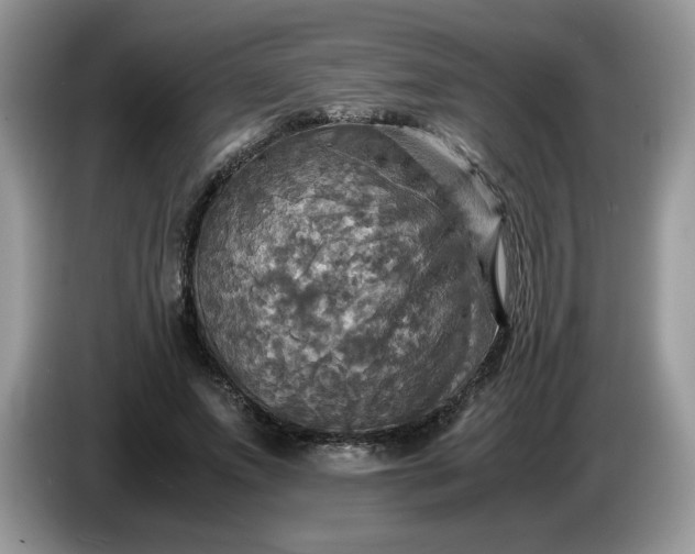 X0000086760687200704271730