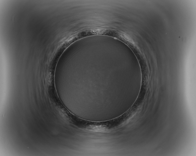 X0000086760689200704271730