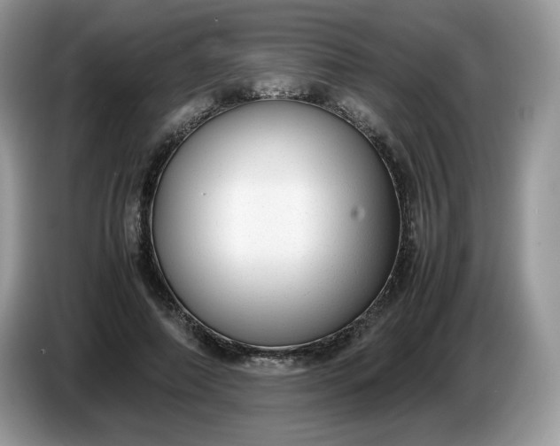 X0000086760690200704271730