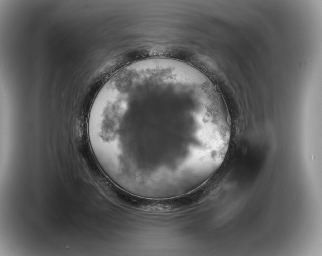 X0000086760691200704271730