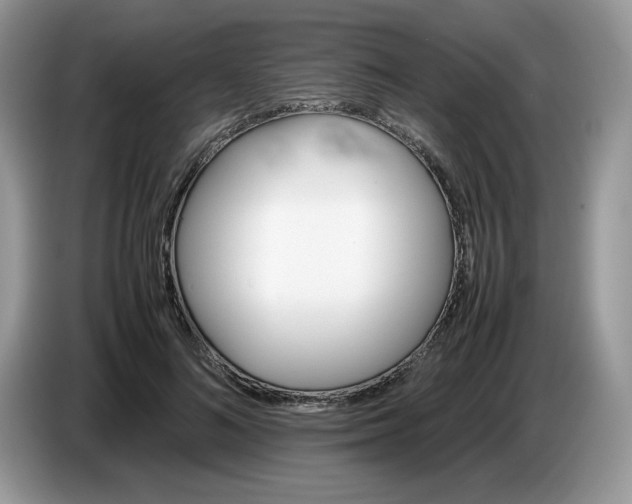 X0000086760692200704271730