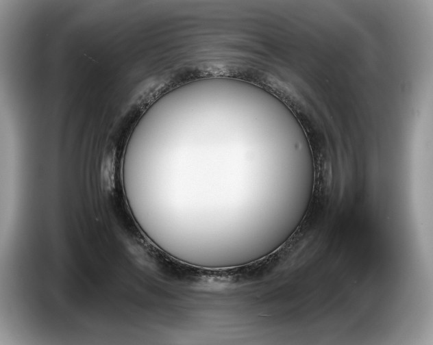 X0000086760694200704271730