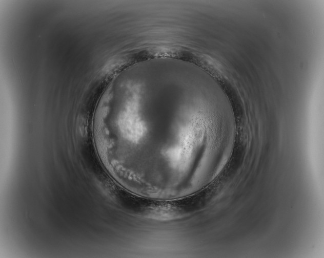 X0000086760695200704271730