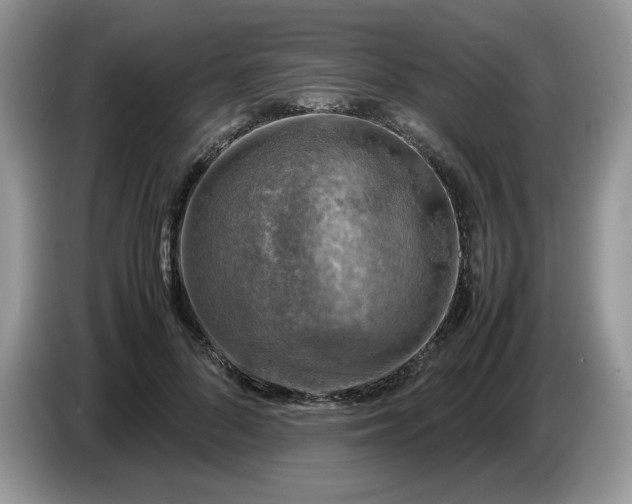 X0000086760696200704271730