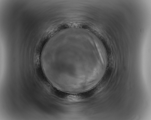 X0000086760699200704271730