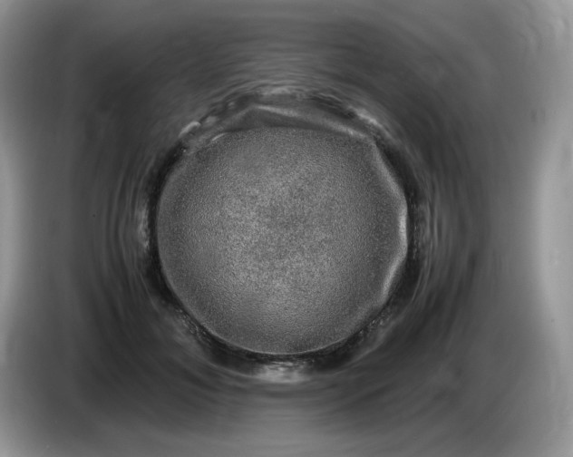 X0000086760700200704271730