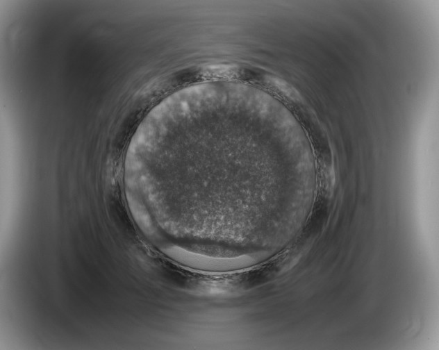 X0000086760701200704271730