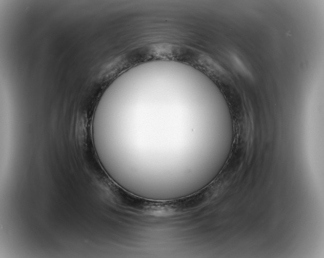 X0000086760702200704271730