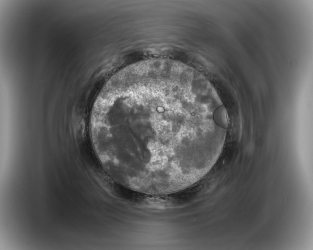 X0000086760703200704271730