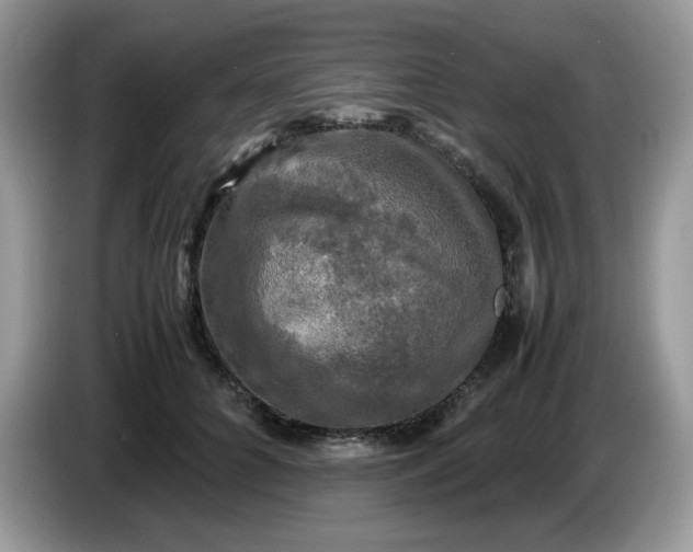 X0000086760704200704271730