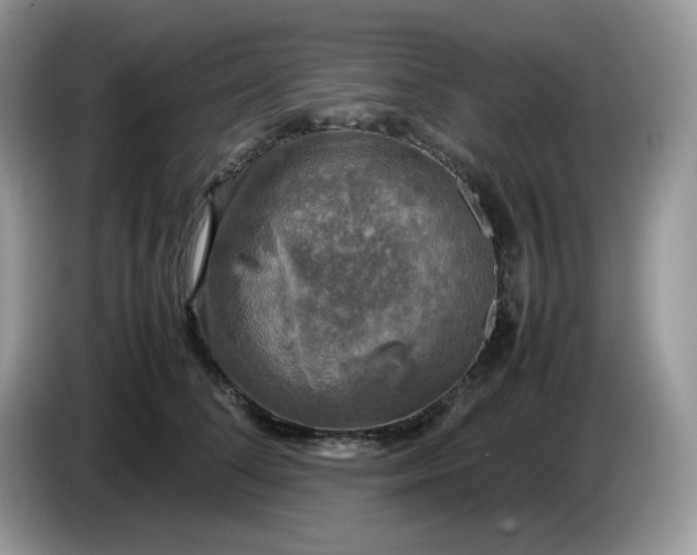 X0000086760708200704271730