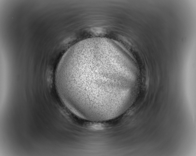 X0000086760710200704271730