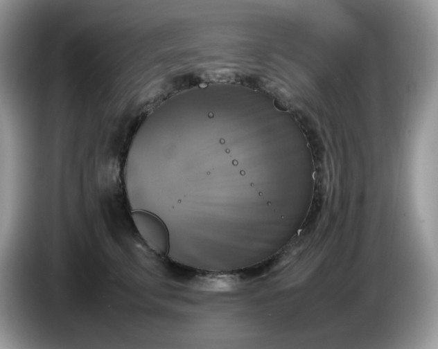 X0000086760711200704271730