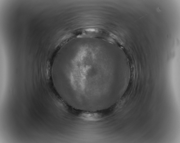 X0000086760712200704271730