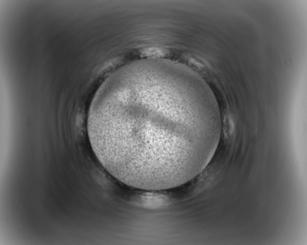 X0000086760714200704271730