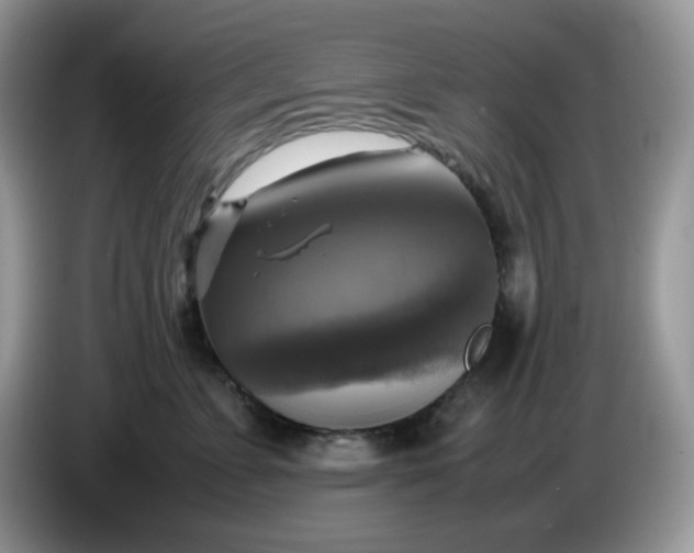 X0000086760715200704271730