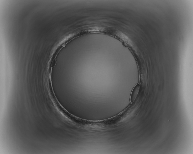 X0000086760721200704271729