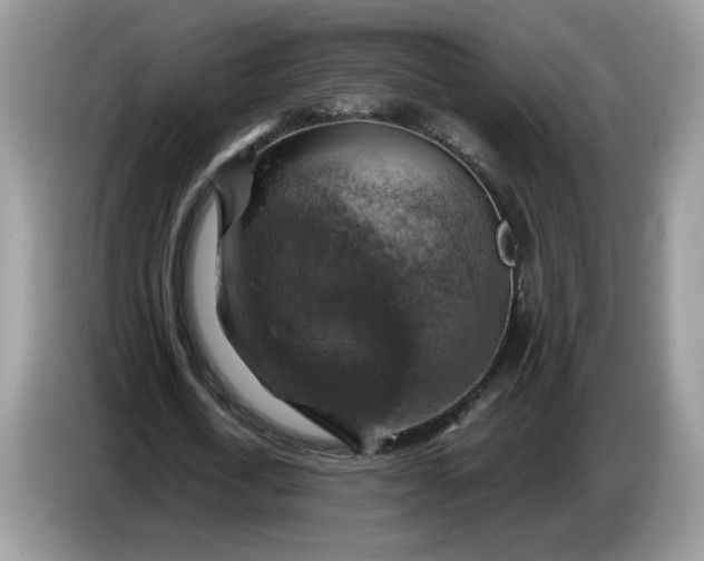 X0000086760722200704271729