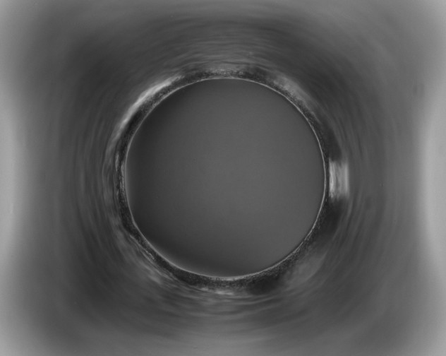 X0000086760723200704271729