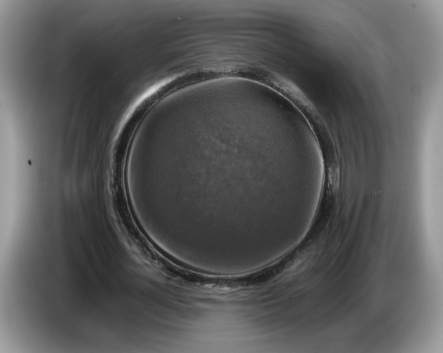 X0000086760724200704271729