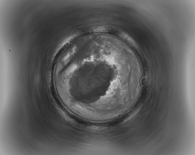 X0000086760725200704271729