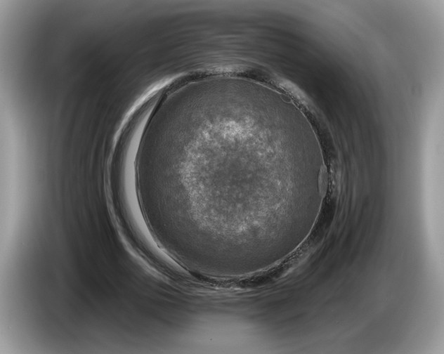 X0000086760726200704271729