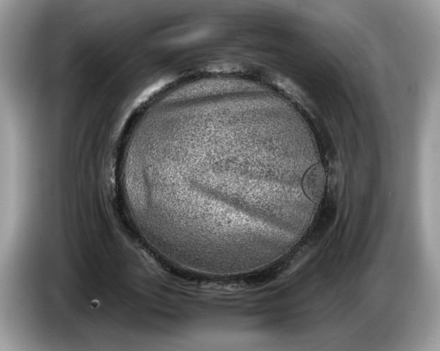 X0000086760727200704271729