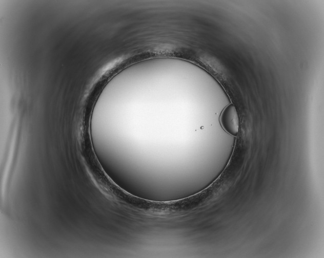 X0000086760728200704271729