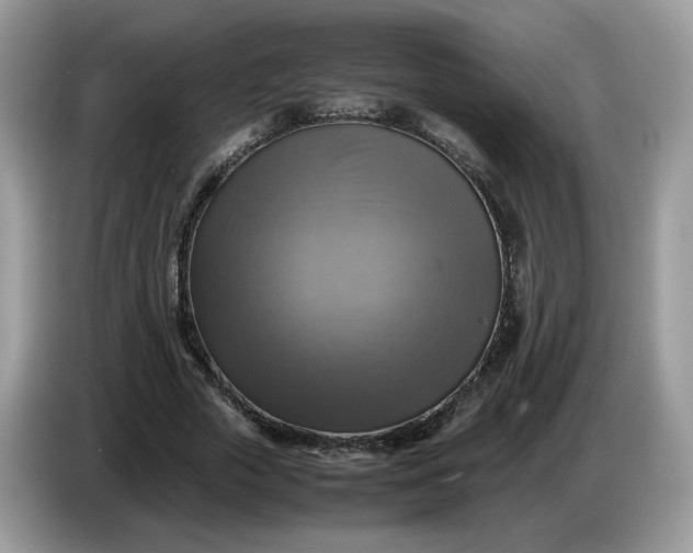 X0000086760729200704271730