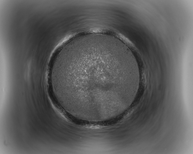 X0000086760730200704271730