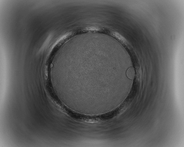 X0000086760731200704271730