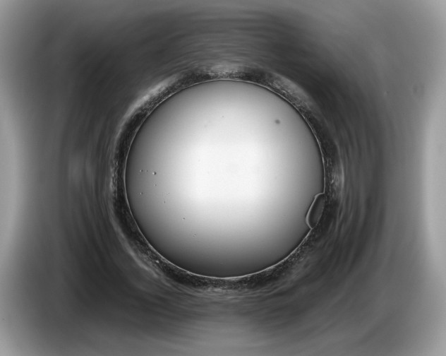 X0000086760732200704271730