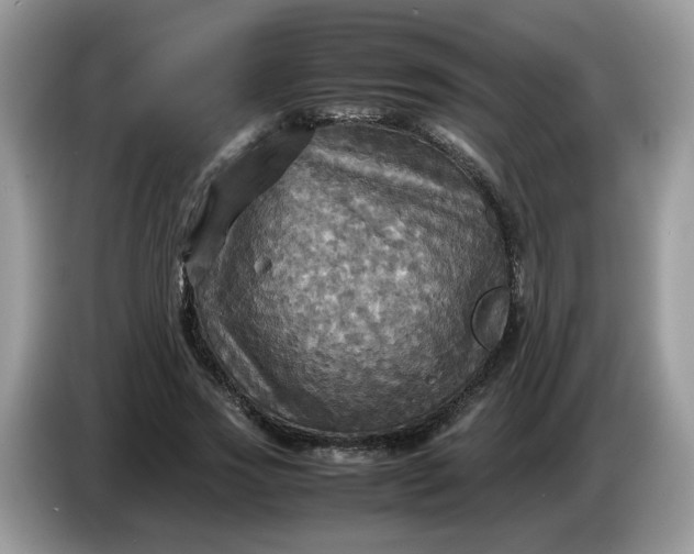 X0000086760733200704271730