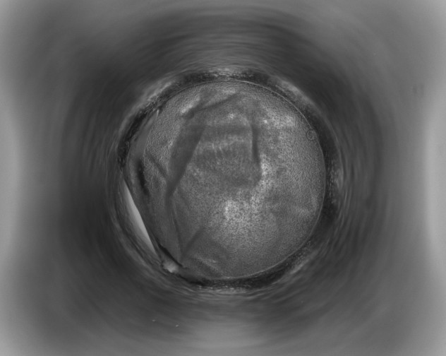 X0000086760734200704271730