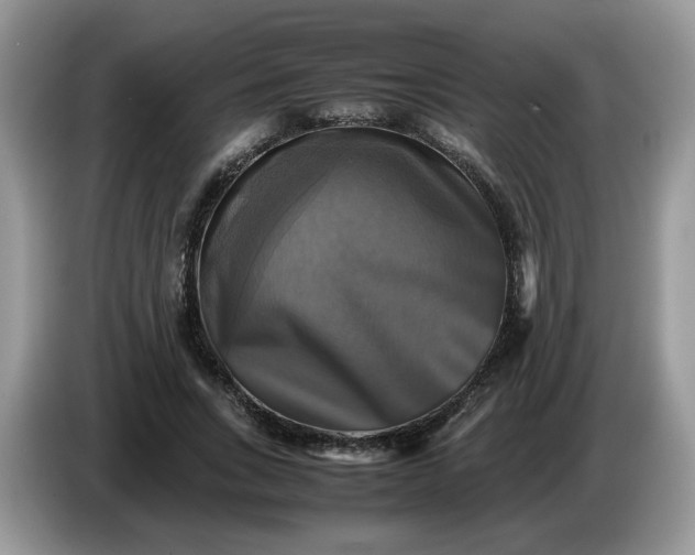 X0000086760735200704271730