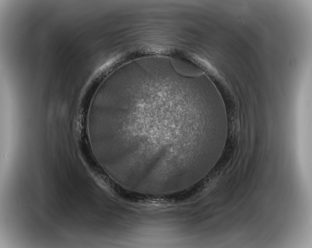 X0000086760736200704271730