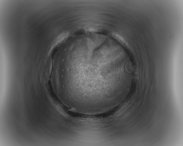 X0000086760738200704271730