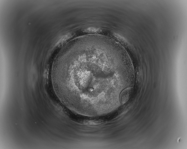 X0000086760739200704271730