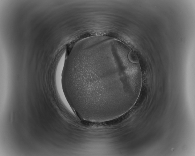 X0000086760742200704271730